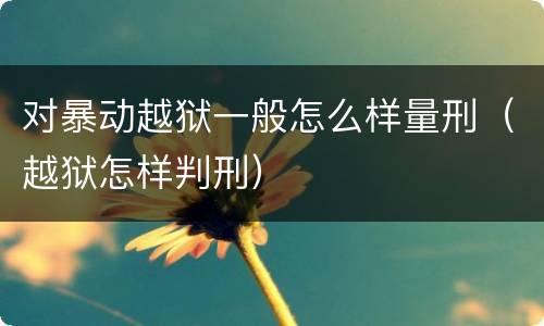 对暴动越狱一般怎么样量刑（越狱怎样判刑）