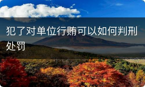 犯了对单位行贿可以如何判刑处罚