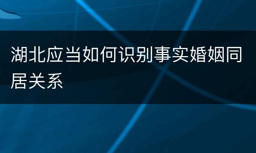 湖北应当如何识别事实婚姻同居关系