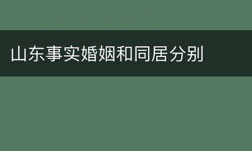 山东事实婚姻和同居分别