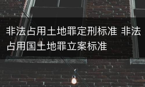 非法占用土地罪定刑标准 非法占用国土地罪立案标准