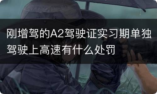 刚增驾的A2驾驶证实习期单独驾驶上高速有什么处罚