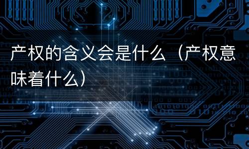 产权的含义会是什么（产权意味着什么）