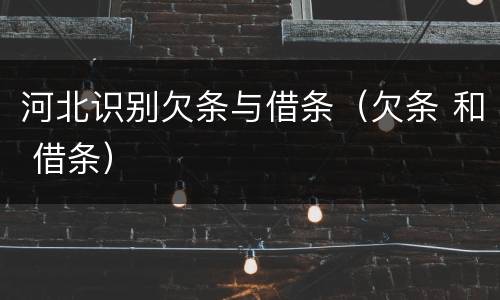 河北识别欠条与借条（欠条 和 借条）