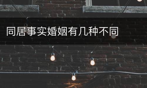 同居事实婚姻有几种不同