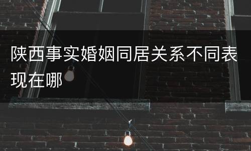 陕西事实婚姻同居关系不同表现在哪
