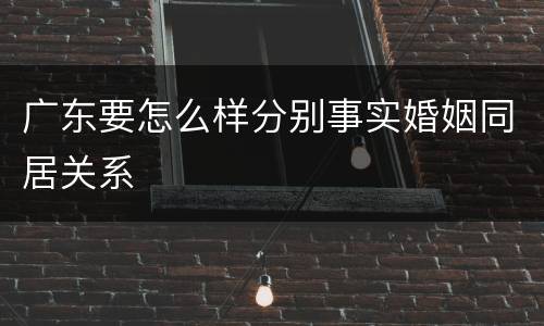 广东要怎么样分别事实婚姻同居关系