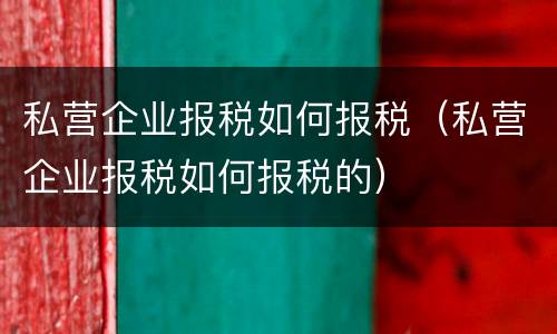 私营企业报税如何报税（私营企业报税如何报税的）