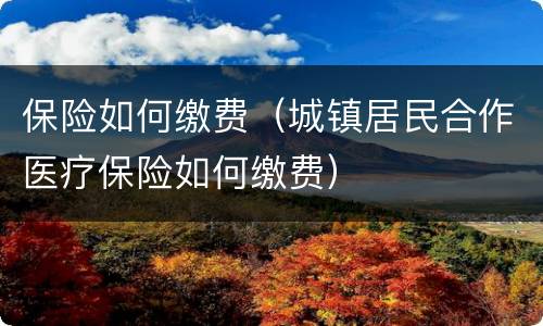 保险如何缴费（城镇居民合作医疗保险如何缴费）