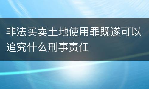 非法买卖土地使用罪既遂可以追究什么刑事责任