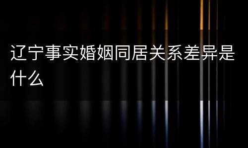 辽宁事实婚姻同居关系差异是什么