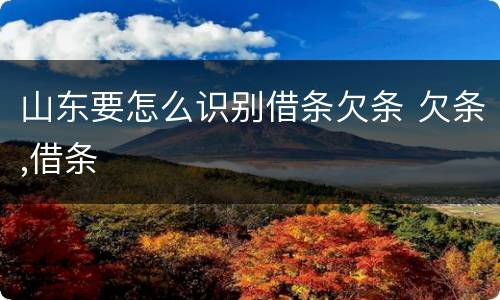 山东要怎么识别借条欠条 欠条,借条