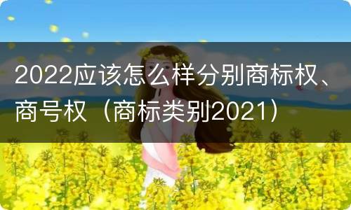 2022应该怎么样分别商标权、商号权（商标类别2021）
