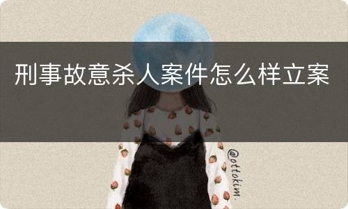 刑事故意杀人案件怎么样立案