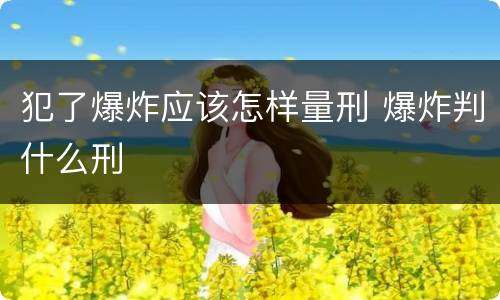 犯了爆炸应该怎样量刑 爆炸判什么刑