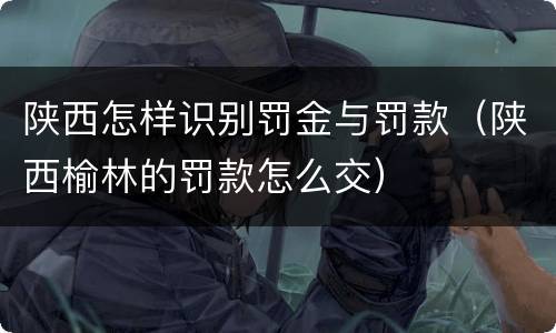 陕西怎样识别罚金与罚款（陕西榆林的罚款怎么交）