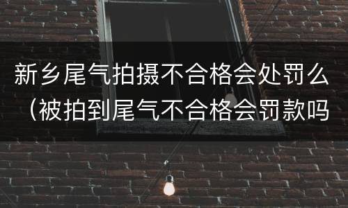 新乡尾气拍摄不合格会处罚么（被拍到尾气不合格会罚款吗）