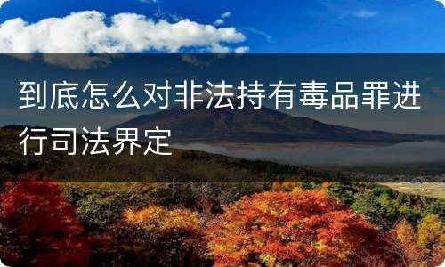 到底怎么对非法持有毒品罪进行司法界定