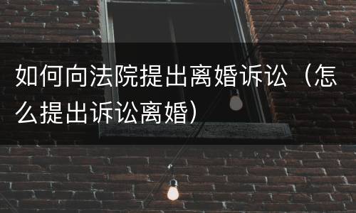 如何向法院提出离婚诉讼（怎么提出诉讼离婚）