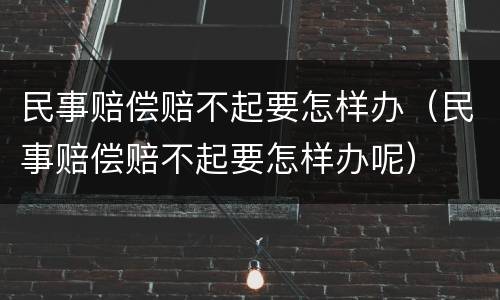 民事赔偿赔不起要怎样办（民事赔偿赔不起要怎样办呢）