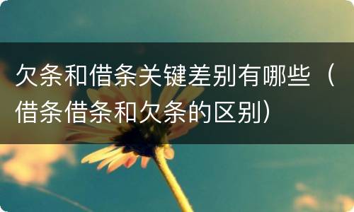 欠条和借条关键差别有哪些（借条借条和欠条的区别）