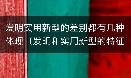 发明实用新型的差别都有几种体现（发明和实用新型的特征）
