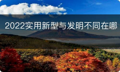 2022实用新型与发明不同在哪