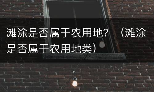 滩涂是否属于农用地？（滩涂是否属于农用地类）