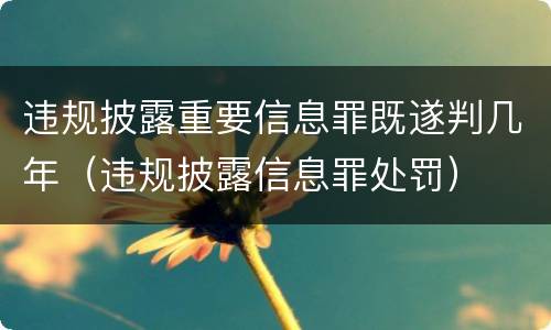 违规披露重要信息罪既遂判几年（违规披露信息罪处罚）