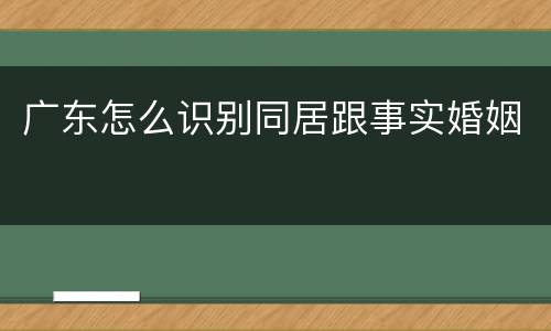 广东怎么识别同居跟事实婚姻