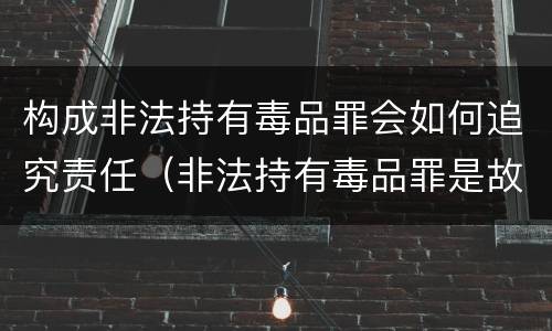 构成非法持有毒品罪会如何追究责任（非法持有毒品罪是故意犯罪吗）