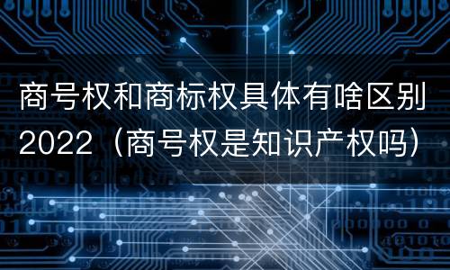商号权和商标权具体有啥区别2022（商号权是知识产权吗）