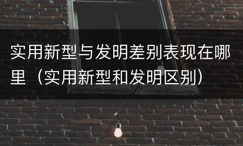 实用新型与发明差别表现在哪里（实用新型和发明区别）