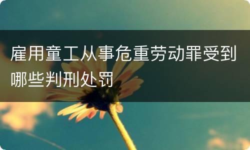 雇用童工从事危重劳动罪受到哪些判刑处罚