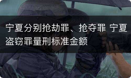 宁夏分别抢劫罪、抢夺罪 宁夏盗窃罪量刑标准金额