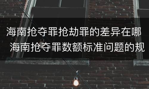 海南抢夺罪抢劫罪的差异在哪 海南抢夺罪数额标准问题的规定