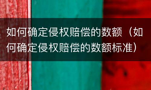如何确定侵权赔偿的数额（如何确定侵权赔偿的数额标准）
