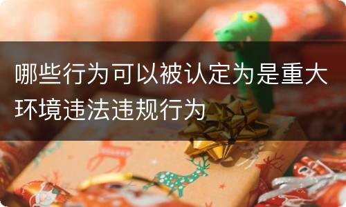 哪些行为可以被认定为是重大环境违法违规行为