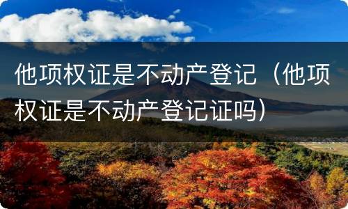 他项权证是不动产登记（他项权证是不动产登记证吗）