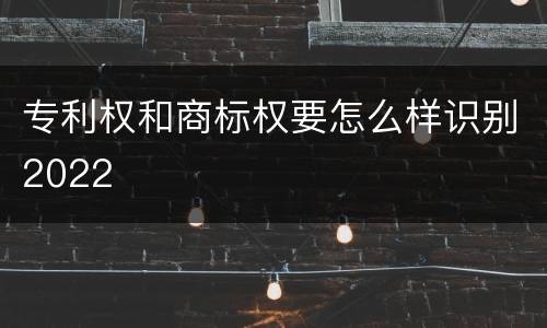 专利权和商标权要怎么样识别2022