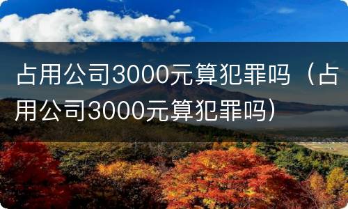占用公司3000元算犯罪吗（占用公司3000元算犯罪吗）