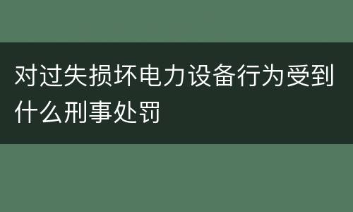 对过失损坏电力设备行为受到什么刑事处罚