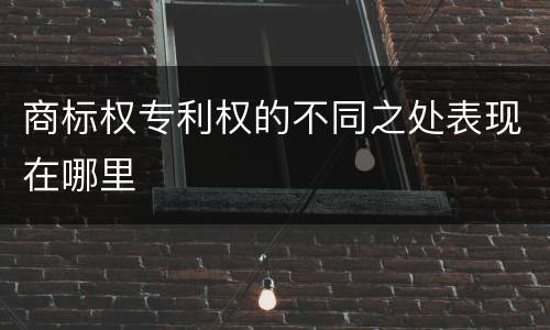 商标权专利权的不同之处表现在哪里