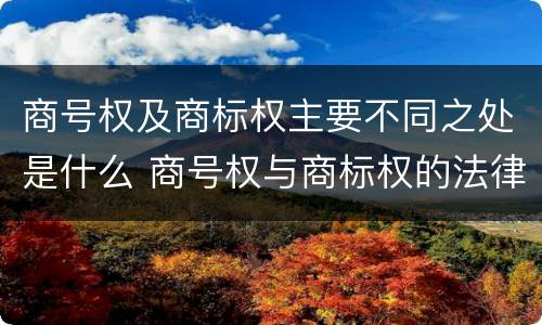 商号权及商标权主要不同之处是什么 商号权与商标权的法律冲突与解决