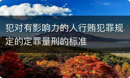 犯对有影响力的人行贿犯罪规定的定罪量刑的标准