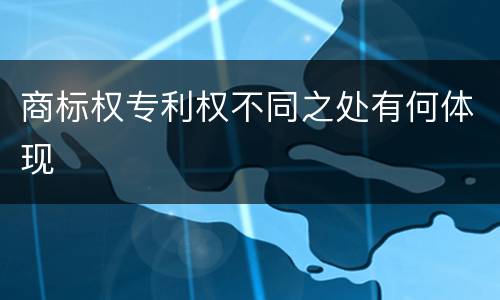 商标权专利权不同之处有何体现