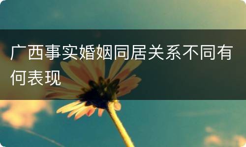 广西事实婚姻同居关系不同有何表现