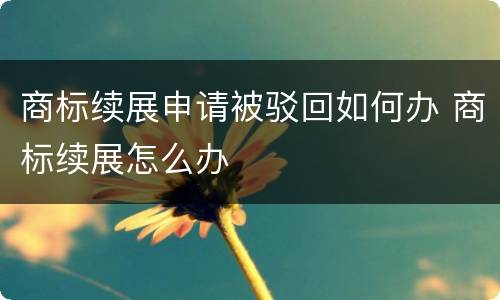 商标续展申请被驳回如何办 商标续展怎么办