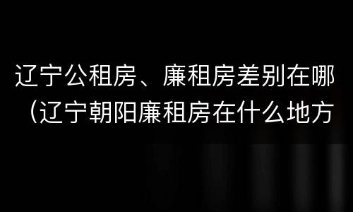 辽宁公租房、廉租房差别在哪（辽宁朝阳廉租房在什么地方）