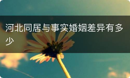 河北同居与事实婚姻差异有多少